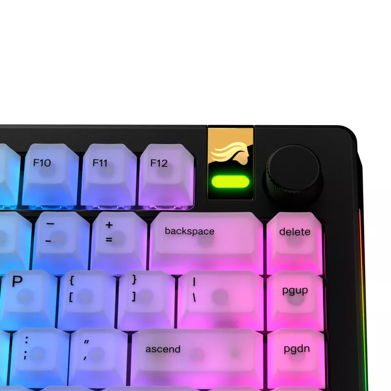 Keycaps GLORIOUS Polychroma V2 RGB US layout — vahetuskomplekt mehaanilistele klaviatuuridele