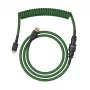 Glorious Gaming Glorious GMMK Spiraalkaabel Forest Rain, Roheline, 1.4 m, 1 tk, Glorious Gaming, USB Type-A, USB Type-C, Aviator