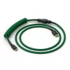 Glorious Gaming Glorious GMMK Spiraalkaabel Forest Rain, Roheline, 1.4 m, 1 tk, Glorious Gaming, USB Type-A, USB Type-C, Aviator