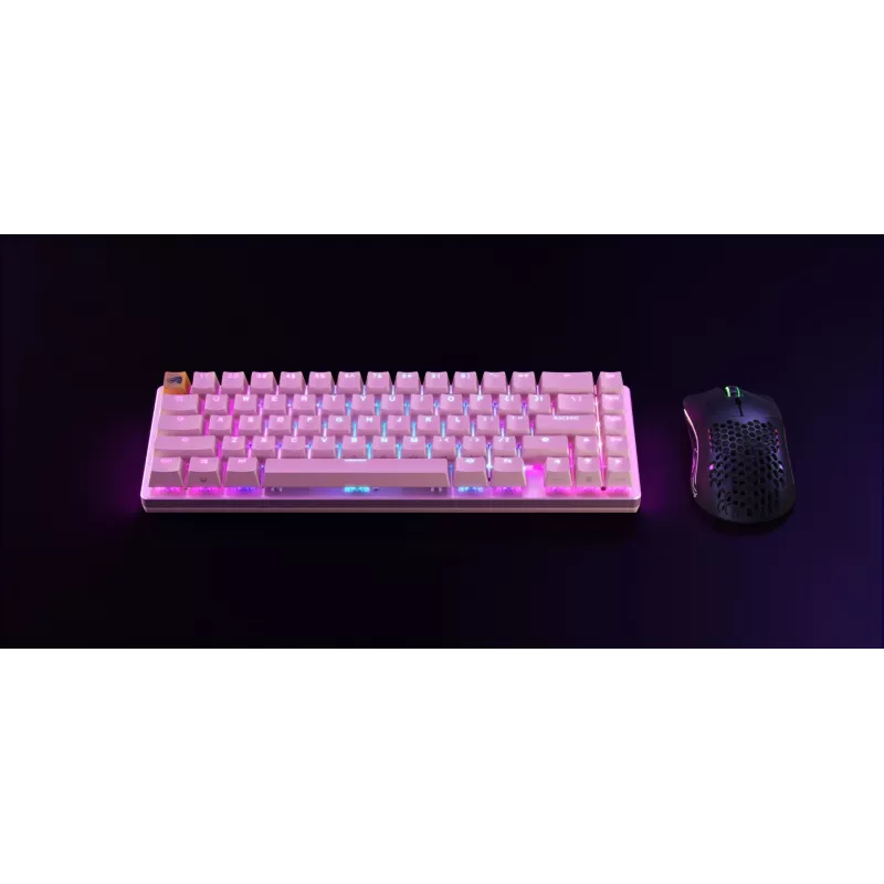 Glorious Gaming GMMK 2 klaviatuur USB US International roosa