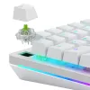 Glorious Gaming Glorious Raptor Clicky mehaanilised lülitid – 36 tk