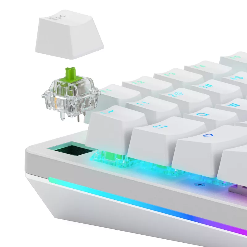 Glorious Gaming Glorious Raptor Clicky mehaanilised lülitid – 36 tk