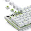 Glorious Gaming Glorious Raptor Clicky mehaanilised lülitid – 36 tk