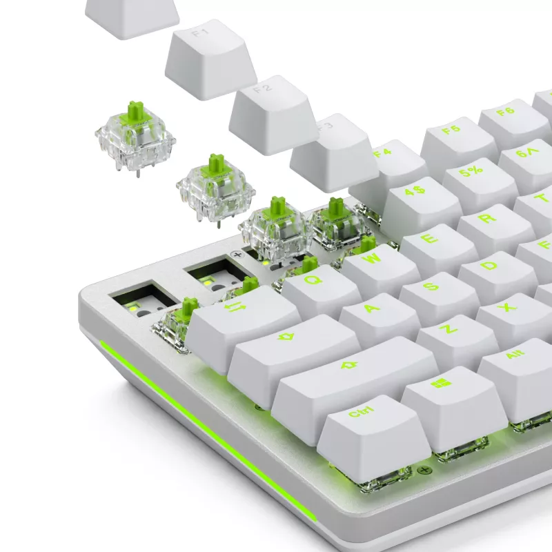 Glorious Gaming Glorious Raptor Clicky mehaanilised lülitid – 36 tk