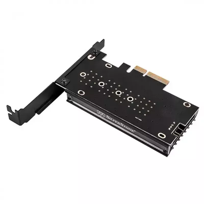 Sisemine M.2 adapter Silverstone SST-ECM24-ARGB