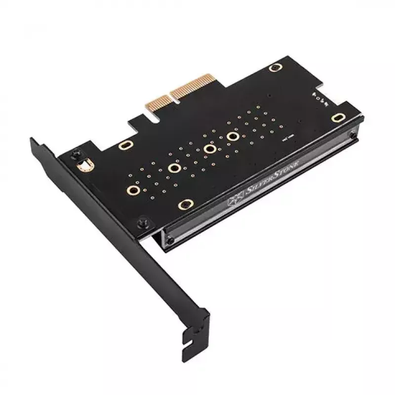 Sisemine M.2 adapter Silverstone SST-ECM24-ARGB