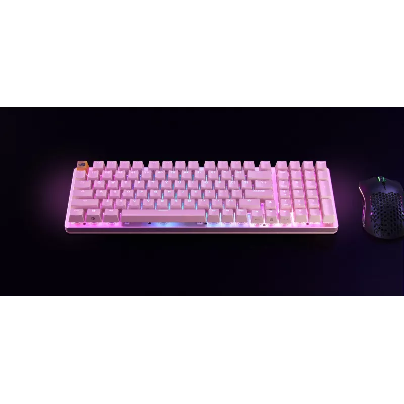 Glorious Gaming GMMK 2 klaviatuur USB USA inglise keel roosa