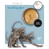 Märg kassitoit 3coty kalkun kanaga kassipoegadele 80 g — täiendsööt, 19% valku, 68,1% niiskust