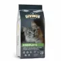 Kuiv kassitoit DIVINUS Cat Complete 20 kg — täiskasvanud kasside hooldustoit, kana, 30% valku, 12% rasva
