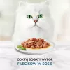 Märg kassitoit Purina Nestlé GOURMET Perle Mini fileed kastmes, kotikesed 60 x 85 g, täiskasvanud kassid, 80% niiskust