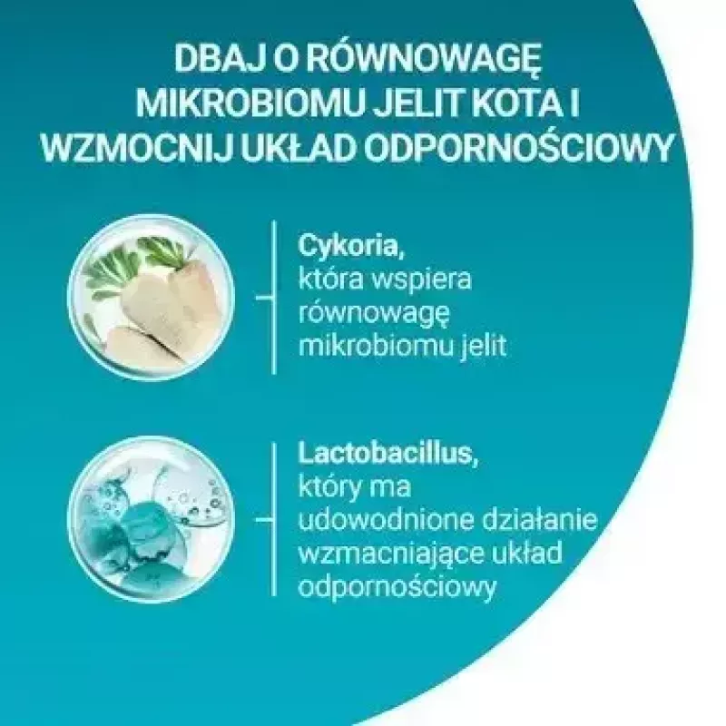 Kuiv kassitoit Purina Nestlé One Sterilcat Veiseliha 9,75 kg — täiskasvanud steriliseeritud kassidele, 37% valku