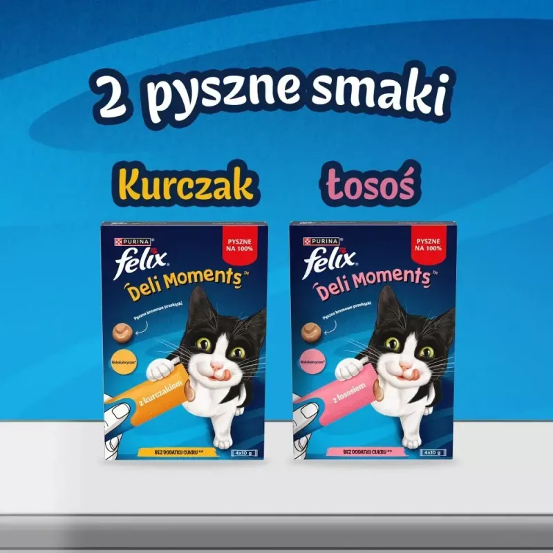 Märjad kassimaiused Purina Felix Deli Moments lõhepasta 4 x 10 g tuub
