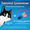 Märjad kassimaiused Purina Felix Deli Moments lõhepasta 4 x 10 g tuub