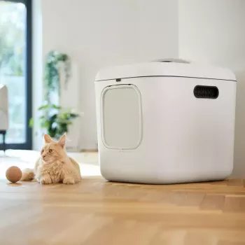 rotho Kassiliivakast Biala XL — suur plastist kassiliivakast, valge, 499×614×576 mm, süsinikfilter, riputusaas