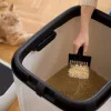 rotho Kassiliivakast Biala XL — suur plastist kassiliivakast, valge, 499×614×576 mm, süsinikfilter, riputusaas