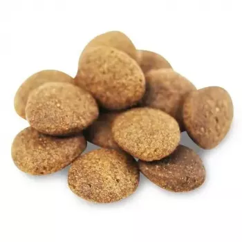 Kuiv koeratoit FISH4DOGS Superior Senior Medium Salmon — 12 kg, gluteenivaba, keskmistele seeniorkoertele