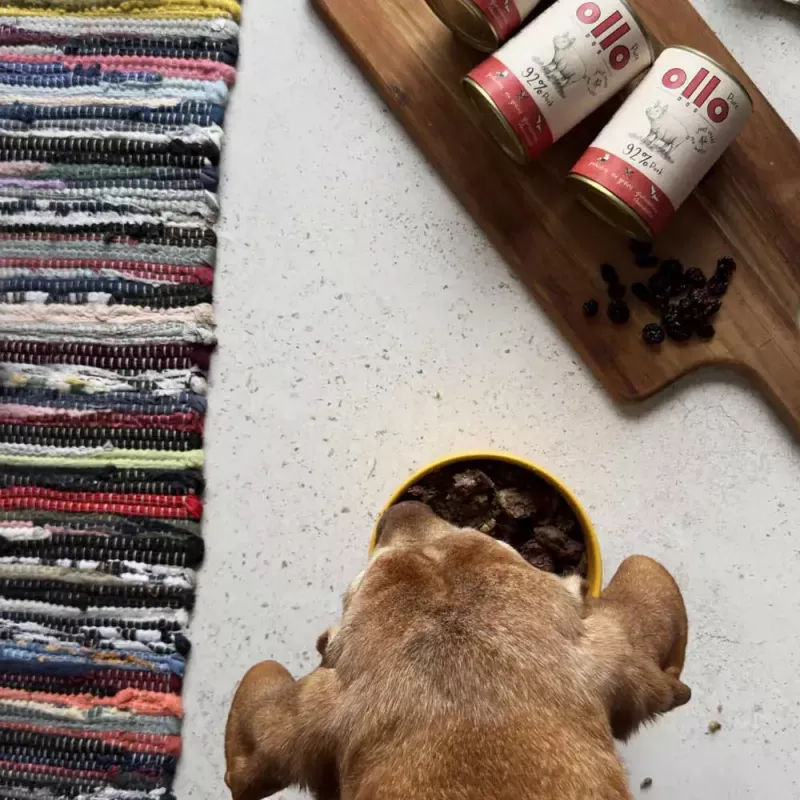 Märg koeratoit OLLO Pure Pork 850 g — täisväärtuslik täiskasvanud koerte märgtoit, monovalk, 17% valku, 11,5% rasva, 63% niiskust