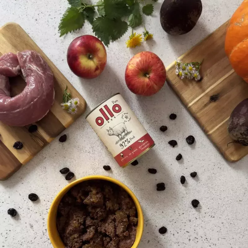 Märg koeratoit OLLO Pure Pork 850 g — täisväärtuslik täiskasvanud koerte märgtoit, monovalk, 17% valku, 11,5% rasva, 63% niiskust