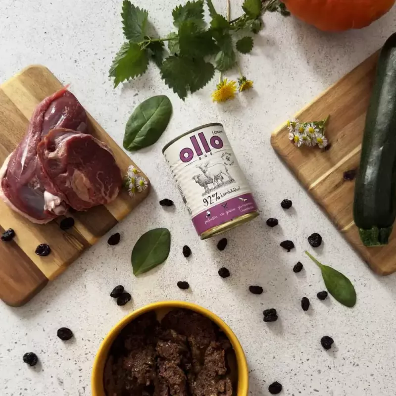 Märg koeratoit OLLO Umami Lamb and Beef 850 g — täiskasvanud, teraviljavaba, gluteeni- ja sojavaba
