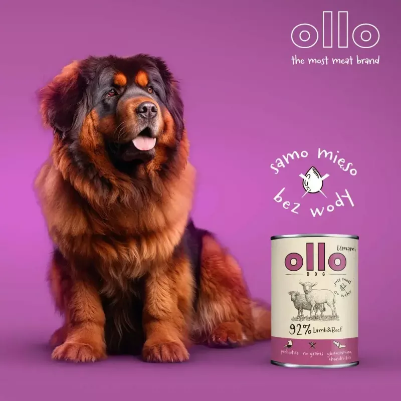 Märg koeratoit OLLO Umami Lamb and Beef 850 g — täiskasvanud, teraviljavaba, gluteeni- ja sojavaba