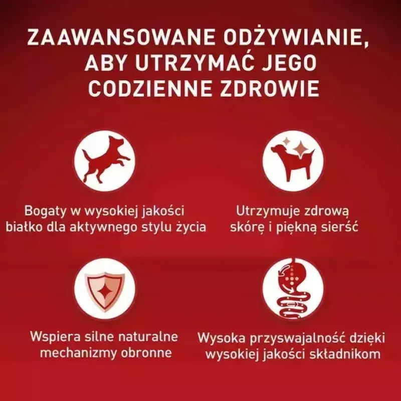 Märg koeratoit Purina Nestlé One Mini/Small Active Veiseliha 85 g — märgtoit väikest tõugu täiskasvanud koertele, 76,4% niiskust, 12,5% valku