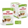 Märg koeratoit Royal Canin X-Small Puppy Meat 85 g kottides, 12 x 85 g, X-Small/Small tõugudele