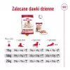 Royal Canin SHN Medium Adult kuiv koeratoit, 4 kg