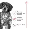 Royal Canin SHN Medium Adult kuiv koeratoit, 4 kg