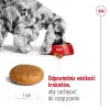 Royal Canin SHN Medium Adult kuiv koeratoit, 4 kg
