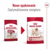 Royal Canin SHN Medium Adult kuiv koeratoit, 4 kg