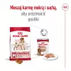 Royal Canin SHN Medium Adult kuiv koeratoit, 4 kg