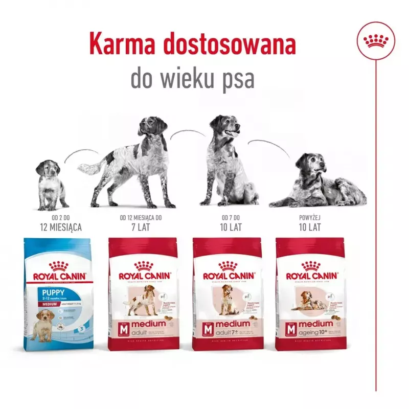 Royal Canin SHN Medium Adult kuiv koeratoit, 4 kg