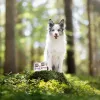 Märg koeratoit VETEXPERT RAW PALEO Puppy Monoprotein Duck 400 g, niiskus 74,8%, valk 9,6%, rasv 10,6%