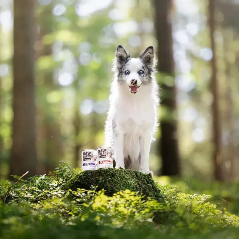Märg koeratoit VETEXPERT RAW PALEO Puppy Monoprotein Duck 400 g, niiskus 74,8%, valk 9,6%, rasv 10,6%