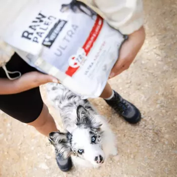 Kuiv koeratoit VETEXPERT RAW PALEO Ultra Mini Adult Veis 2 kg — täielikud kuivgraanulid väikeste tõugude täiskasvanud koertele, 28,5% valku, 16% rasva