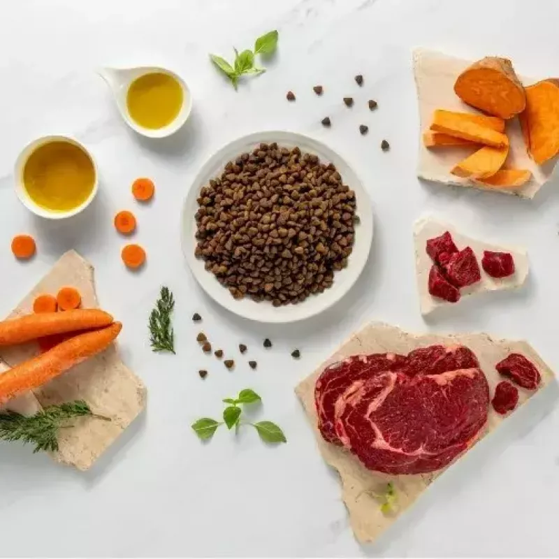 Kuiv kutsikatoit VETEXPERT RAW PALEO Ultra Medium & Large Beef 2 kg — veiseliha, valk 30,5 %, rasv 16,5 %