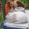 Puur FERPLAST Rabbit 120 Blue — metallist ja plastist küülikupuur 1180×585×495 mm, küülikutele 5–9,9 kg