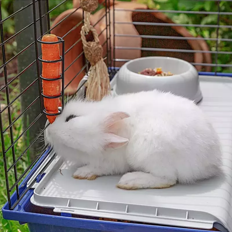 Puur FERPLAST Rabbit 120 Blue — metallist ja plastist küülikupuur 1180×585×495 mm, küülikutele 5–9,9 kg