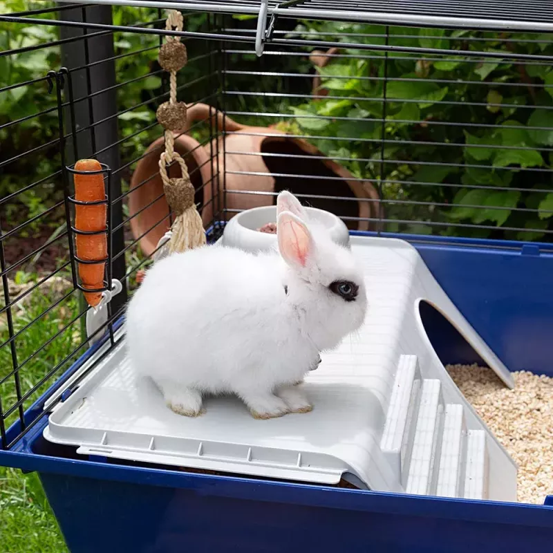 Puur FERPLAST Rabbit 120 Blue — metallist ja plastist küülikupuur 1180×585×495 mm, küülikutele 5–9,9 kg
