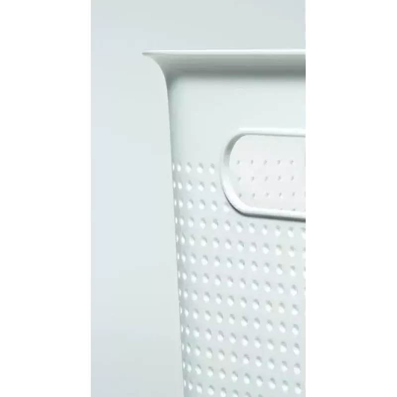 Rotho Brisen pesukorv, 50 l, antratsiithall