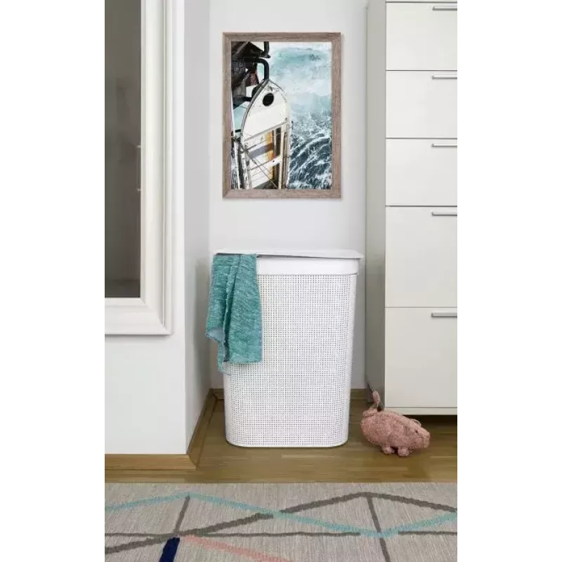 Rotho Brisen pesukorv, 50 l, antratsiithall