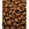 Kuiv koeratoit VERSELE-LAGA Lamb & Rice 20 kg — Täiskasvanud koerad, kõik tõu suurused, 22% valku, 10% rasva