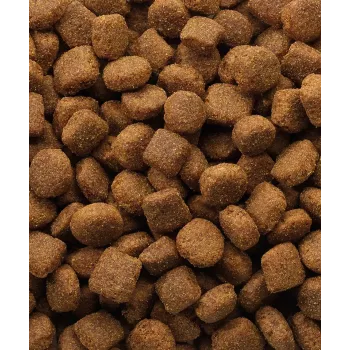 Kuiv koeratoit VERSELE-LAGA Lamb & Rice 20 kg — Täiskasvanud koerad, kõik tõu suurused, 22% valku, 10% rasva