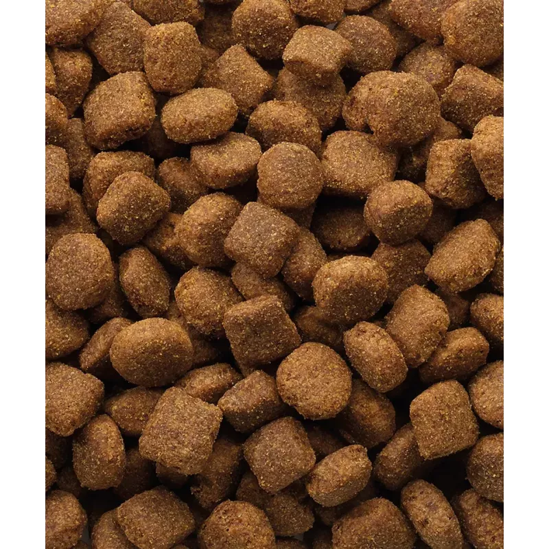 Kuiv koeratoit VERSELE-LAGA Lamb & Rice 20 kg — Täiskasvanud koerad, kõik tõu suurused, 22% valku, 10% rasva