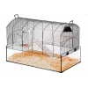 Puuri ZOLUX NeoPanas XL klaaspuuri närilistele, must, mõõtmetega 710×410×490 mm, klaasaluse kõrgus 180 mm, sisaldab 2 riiulit, 2 platvormi, kaussi, maja, rulli