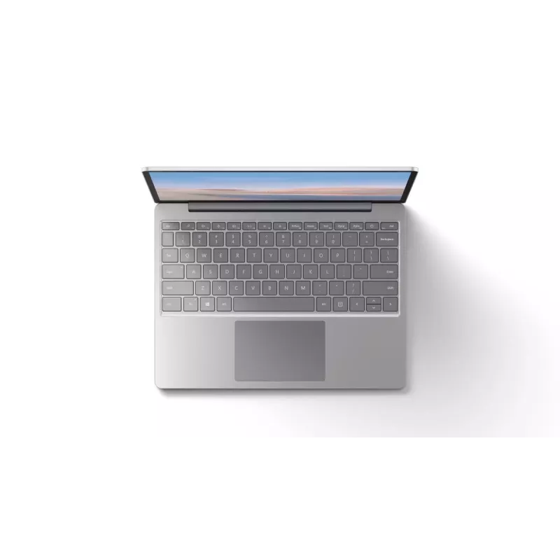 MICROSOFT Surface Laptop Go - 12.4 inch - i5 1035g1 - 8 GB RAM - 256 GB SSD - Win10 Pro - Platinum - Qwerty Int'l - UHD Graphics
