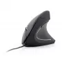 GEMBIRD optiline hiir MUS-ERGO-01 - ergonoomiline 6 nupuga, ratas, USB, must