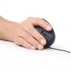 GEMBIRD optiline hiir MUS-ERGO-01 - ergonoomiline 6 nupuga, ratas, USB, must