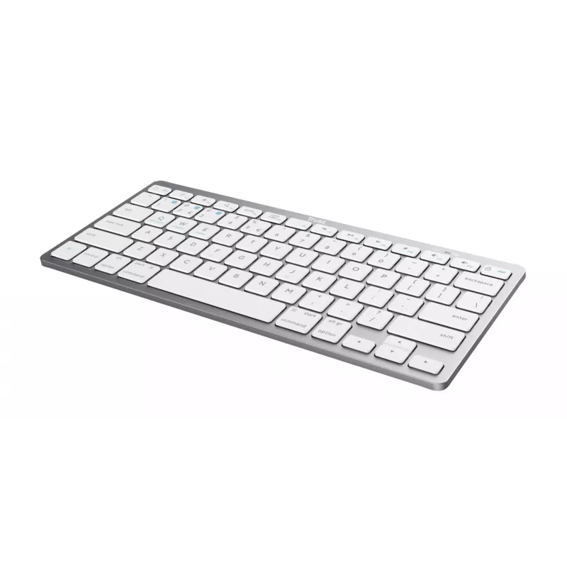 Trust 24651 juhtmevaba QWERTY US English klaviatuur, hõbedane