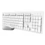 Trust Ody II klaviatuur koos hiirega Kodu/Kontor RF juhtmevaba QWERTY USA inglise keel Valge